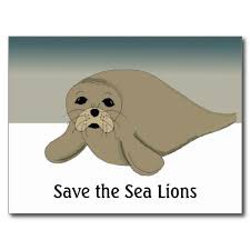 SEA LIONS